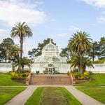 Golden Gate Park