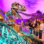 The Children's Museum of Indianapolis