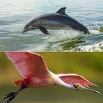 Boat Tours