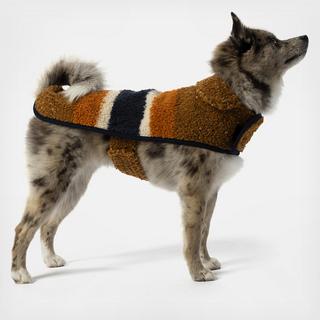Dog Coat