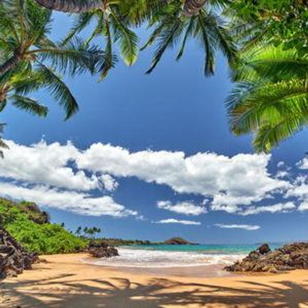 Our Hawaiian Honeymoon Fund