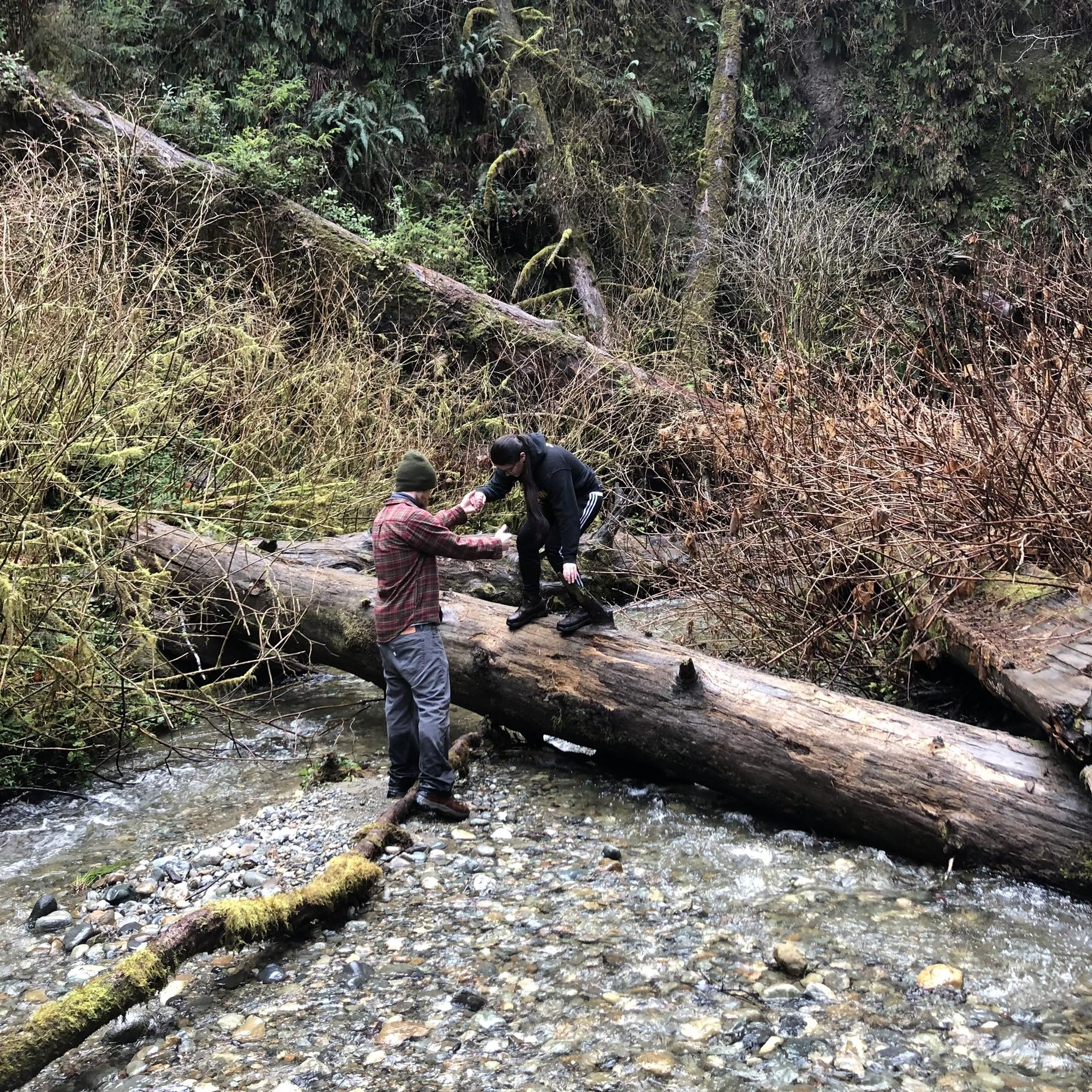 Redwood National Forest, CA