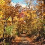 Sheldon Marsh State Nature Preserve