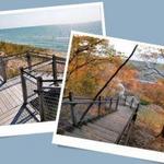 Rosy Mound Natural Area