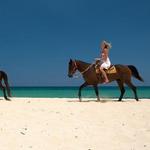 Horseback Riding