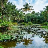 McKee Botanical Garden