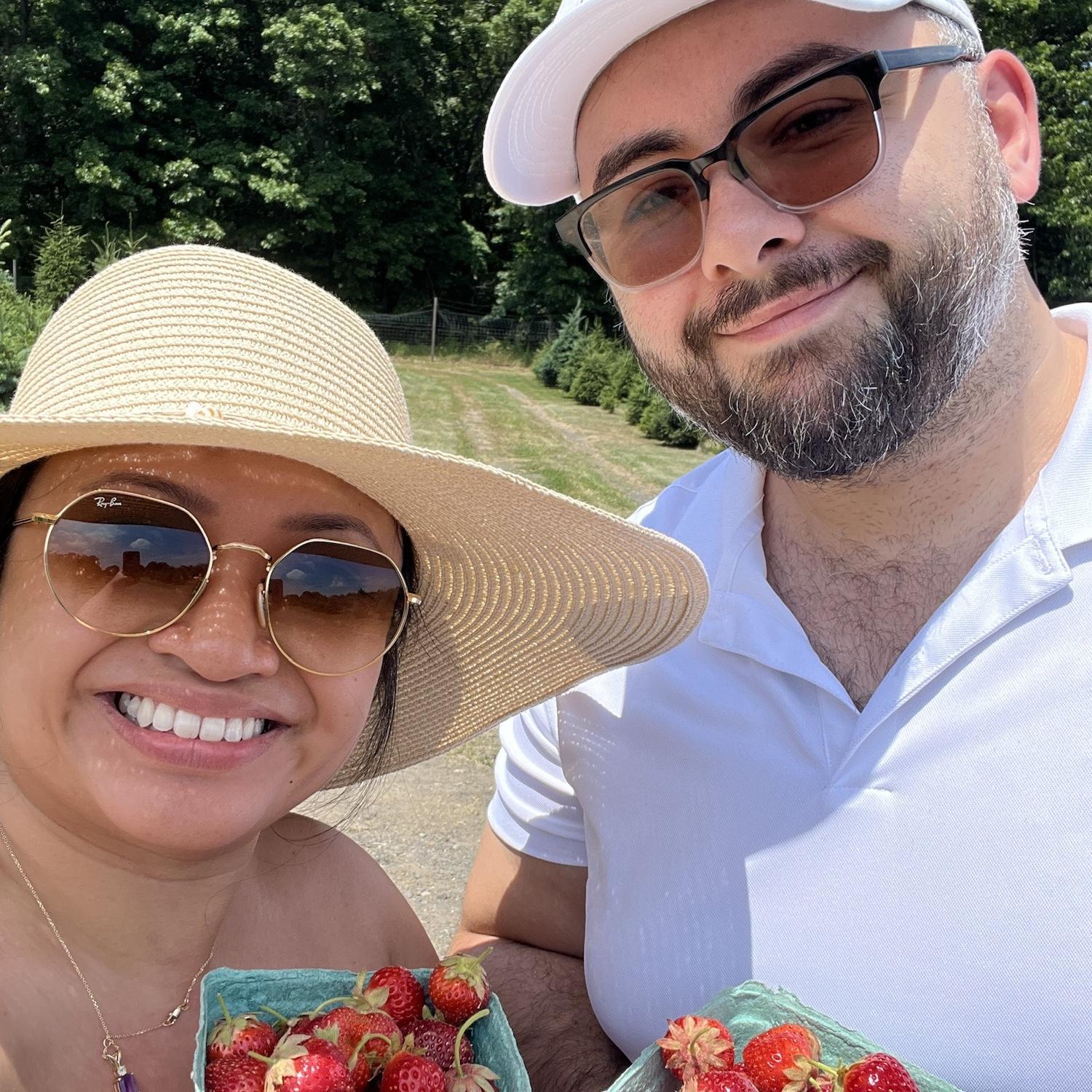 Strawberry picking 2024