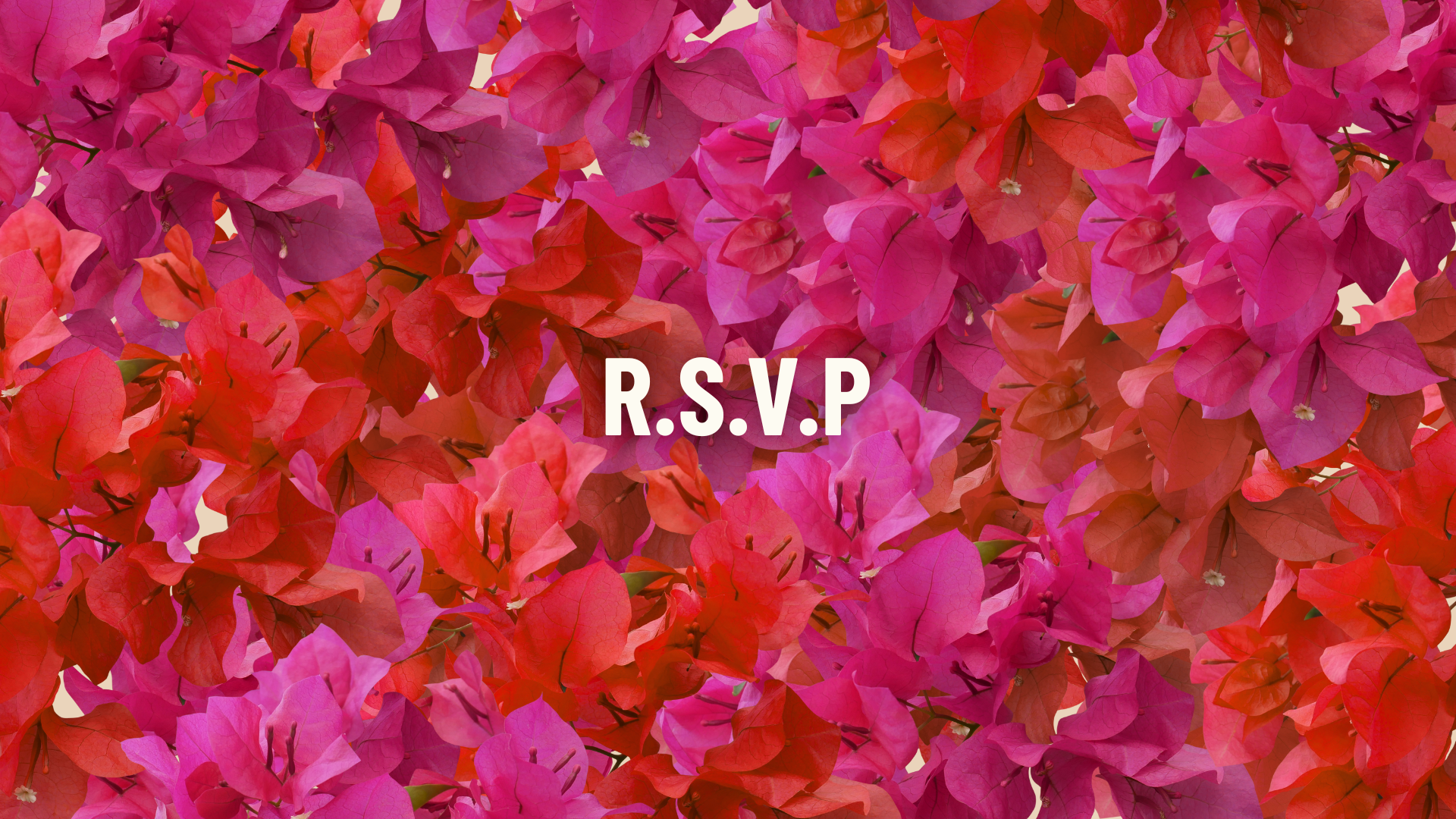 The Wedding Website of Alexis Cedeño and Ricardo Padilla