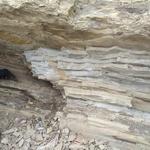 Stonerose Interpretive Center & Eocene Fossil Site