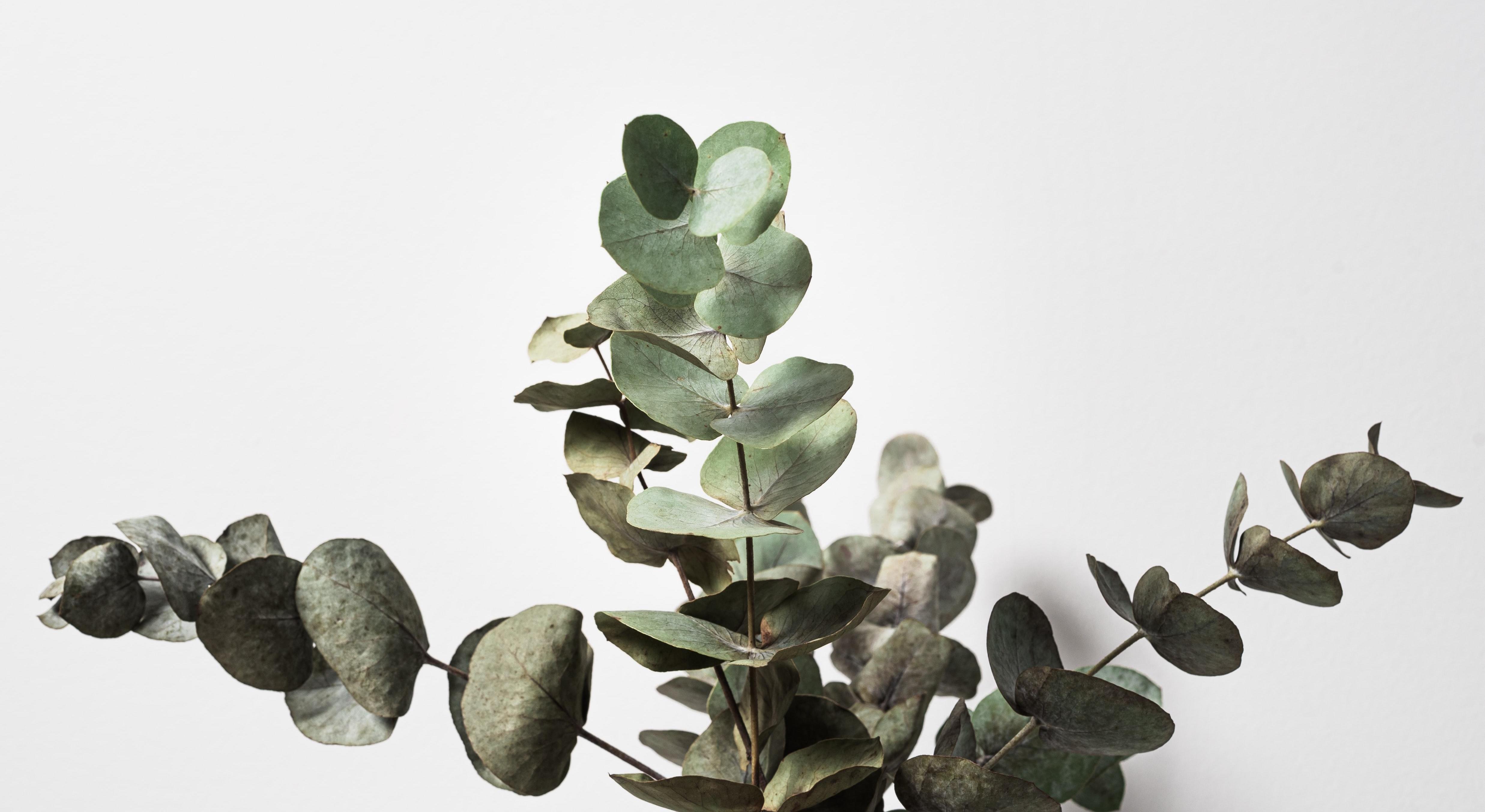 Footer image