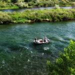 Trout Fishing Bighorn River