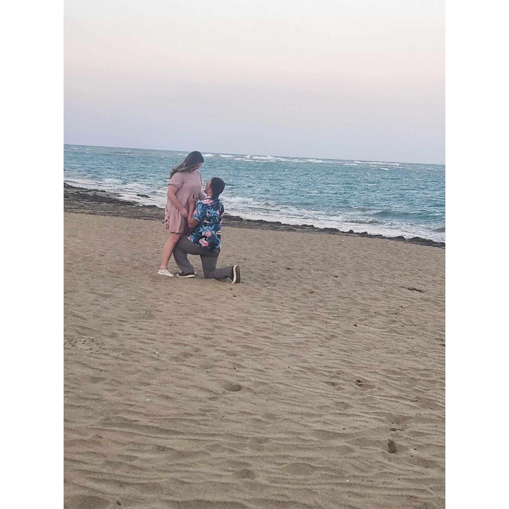 March 23 2024 - The proposal in Dominican!