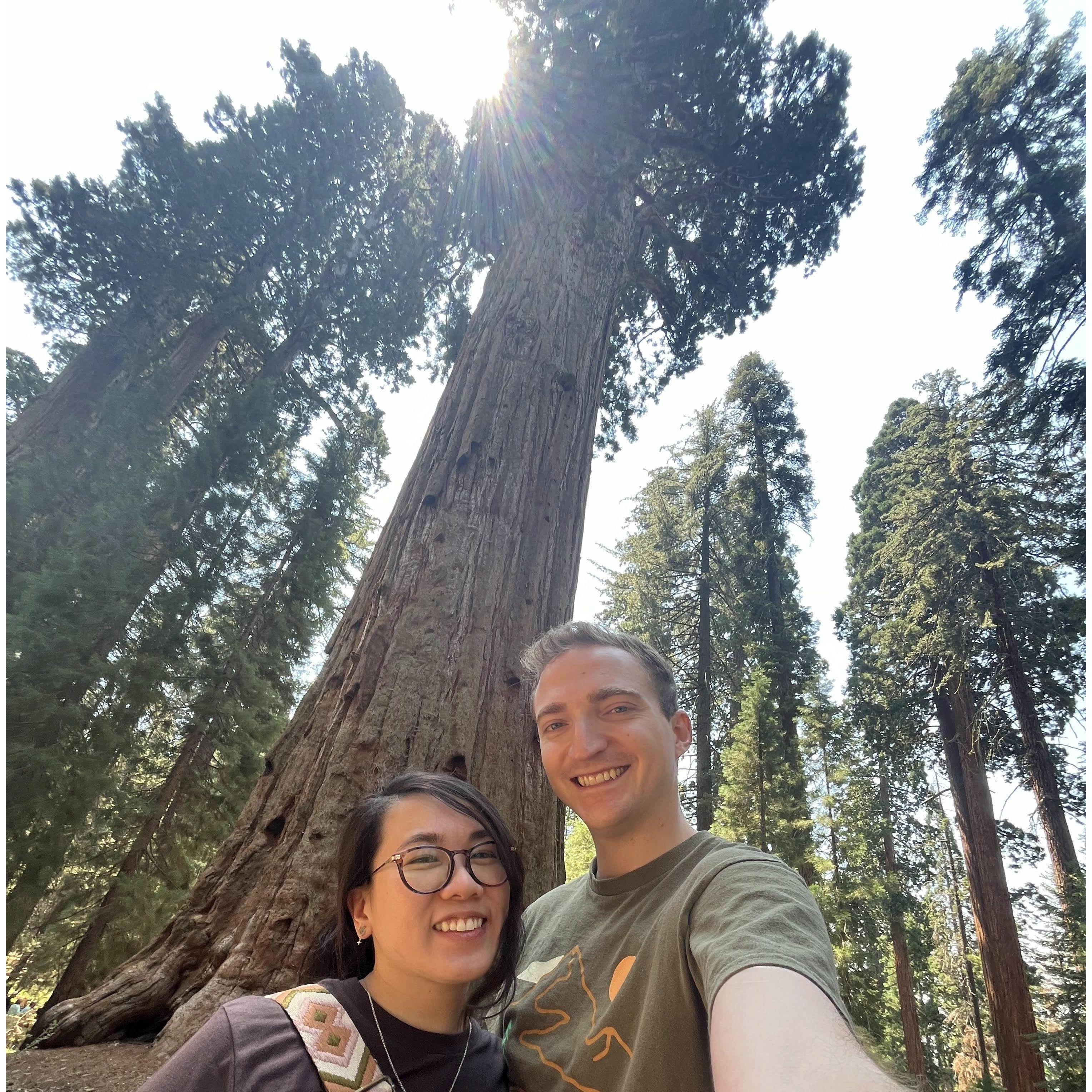 July 2024: We went to see the sequoias for Mathias's birthday!