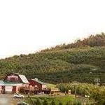 Carter Mountain Orchard and Country Store