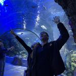 Virginia Aquarium & Marine Science Center