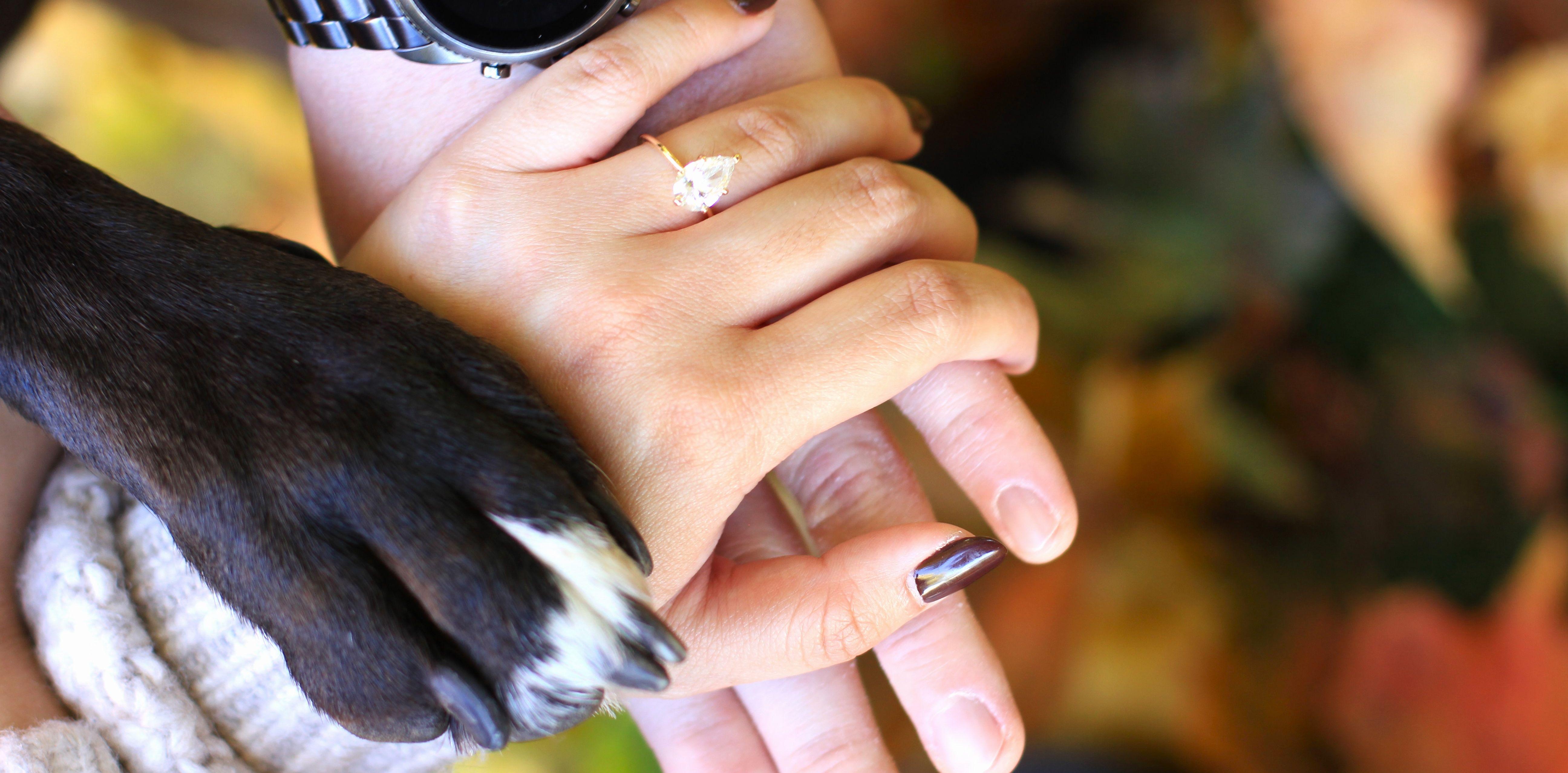 The Wedding Website of Kimberly Lam and Mike Kushner