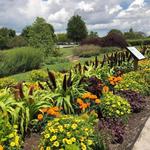 The Arboretum, State Botanical Garden of Kentucky