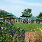 Jordan Pond House Restaurant - Lunch on the Lawn