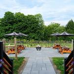 Drink: The Vineyard At Windham