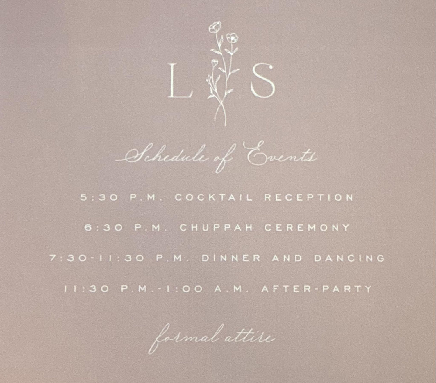 The Wedding Website of Lauren Kahn and Shosh Balk