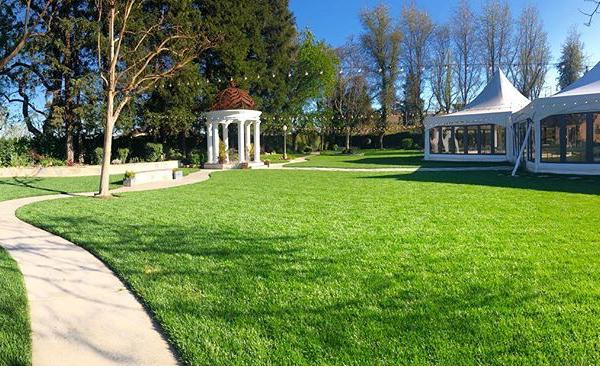The Wedding Website of Tiana Olmo and Steven Fabela