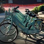 Holy Spokes - Charleston Bike Share