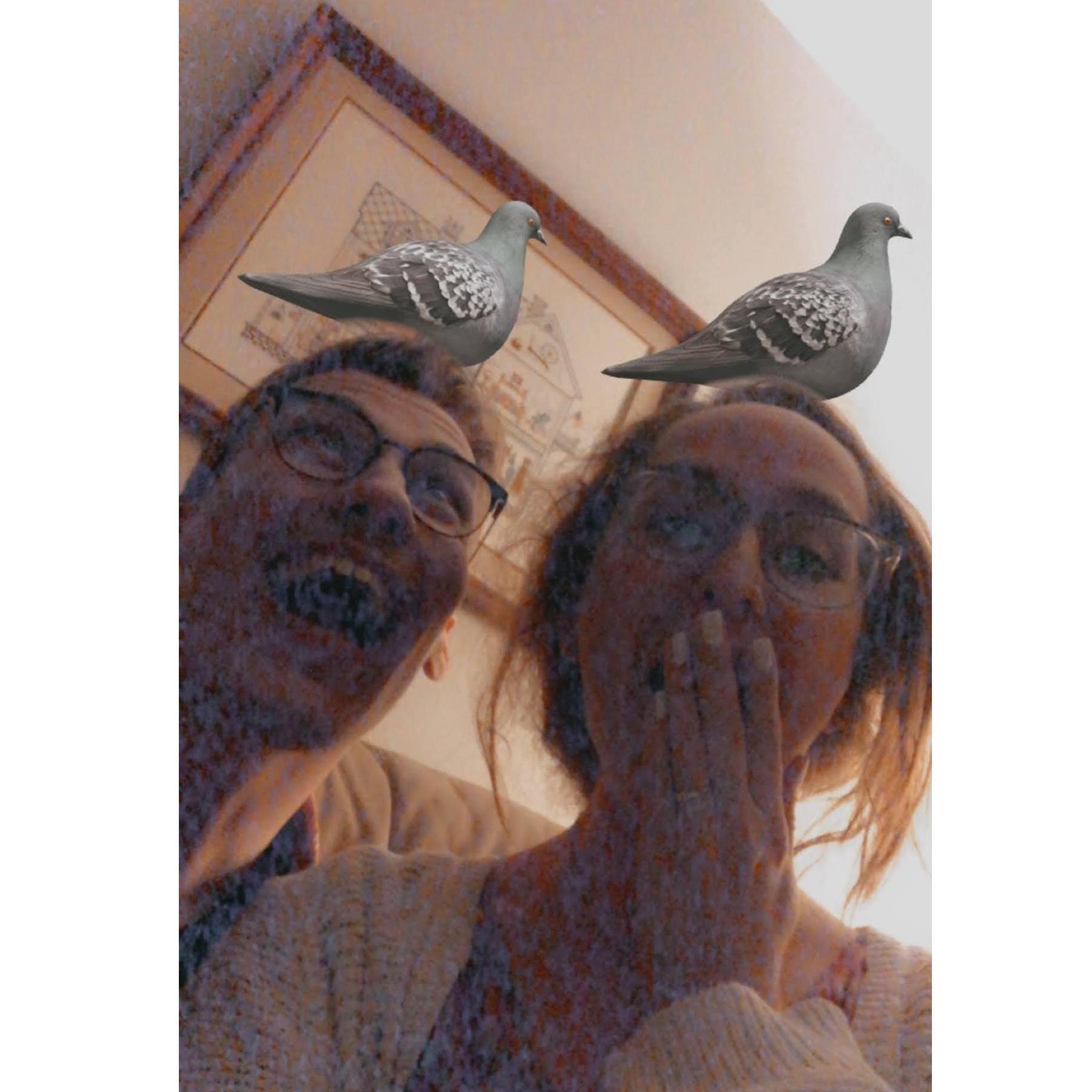 Life is too stressful to not have some fun with a silly filter