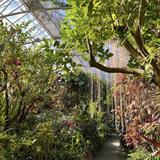 Krohn Conservatory