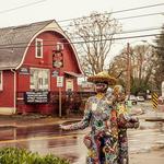 The Whiteaker Neighborhood
