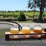 Taproot Brewing Co.