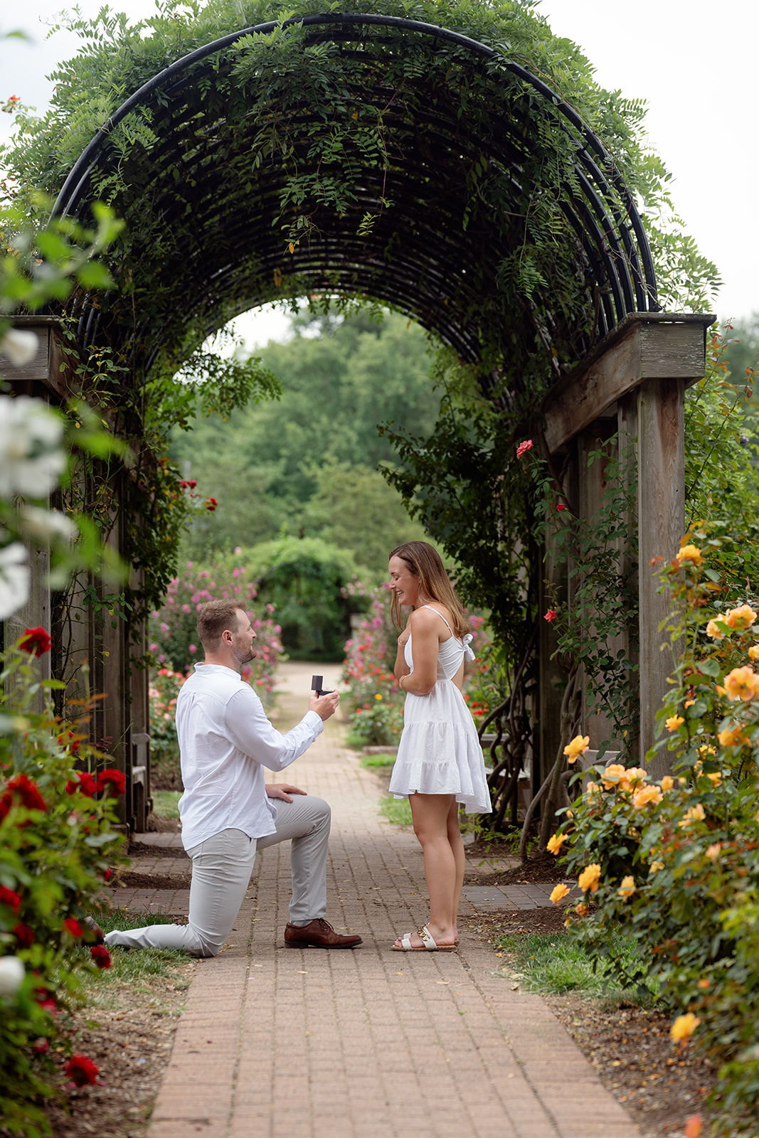 The Wedding Website of Annie LaMuraglia and Peter Sarath