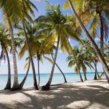 ✨Saona Island Day Trip