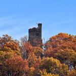 Bowmans Hill Tower