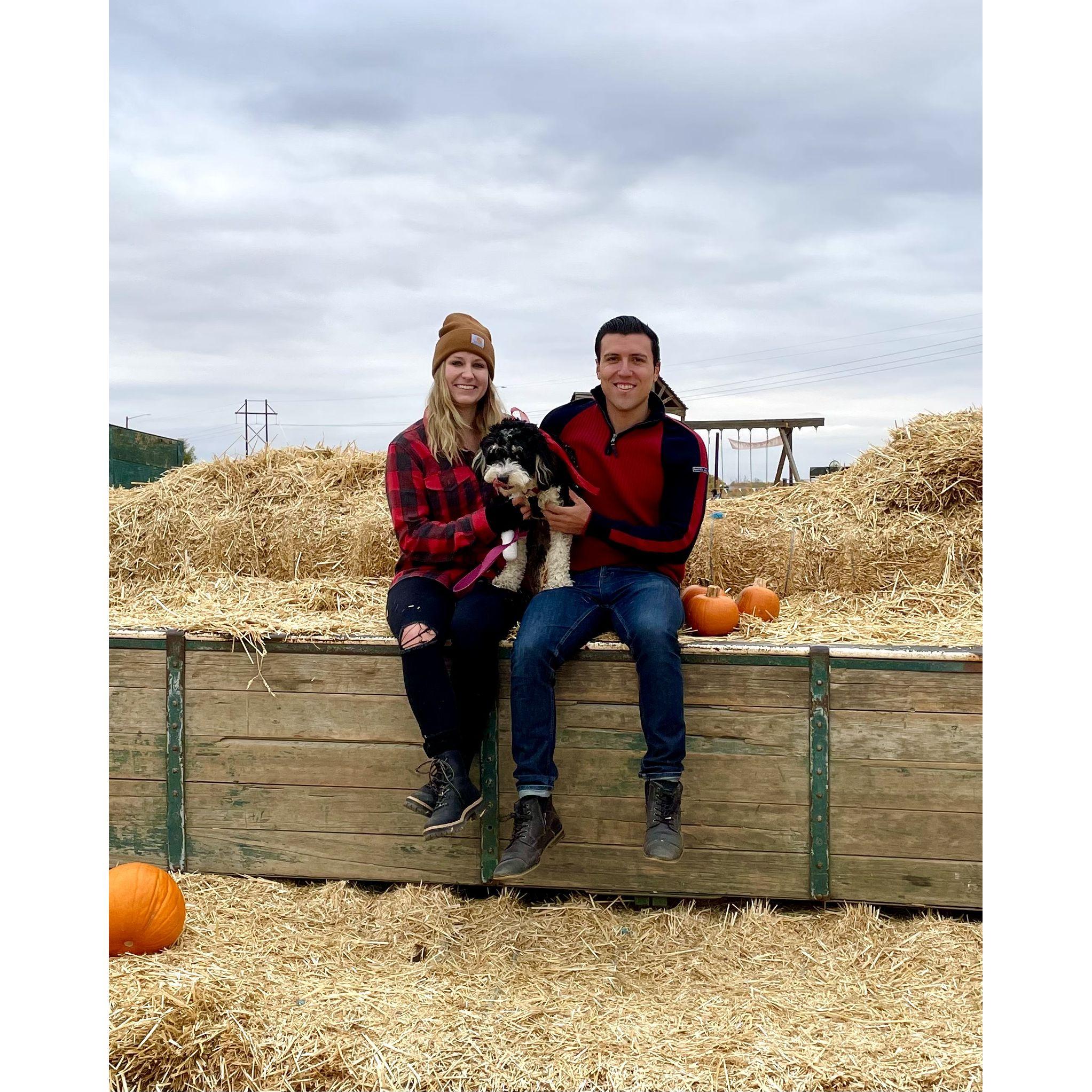 Our first fall with little Moose! She was most interested in tasting the straw.
