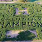P-6 Farms