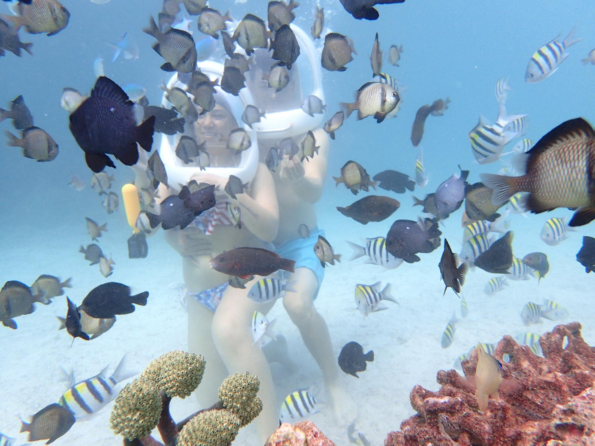 Helmet diving in  Boracay