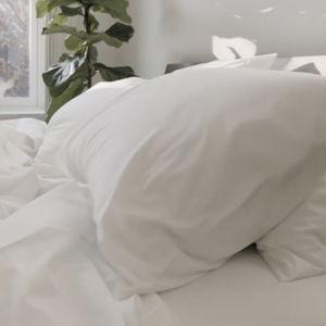 Down Alternative Standard Mid-Plush Pillow