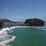 Goat Rock State Beach - Sonoma Coast State Park