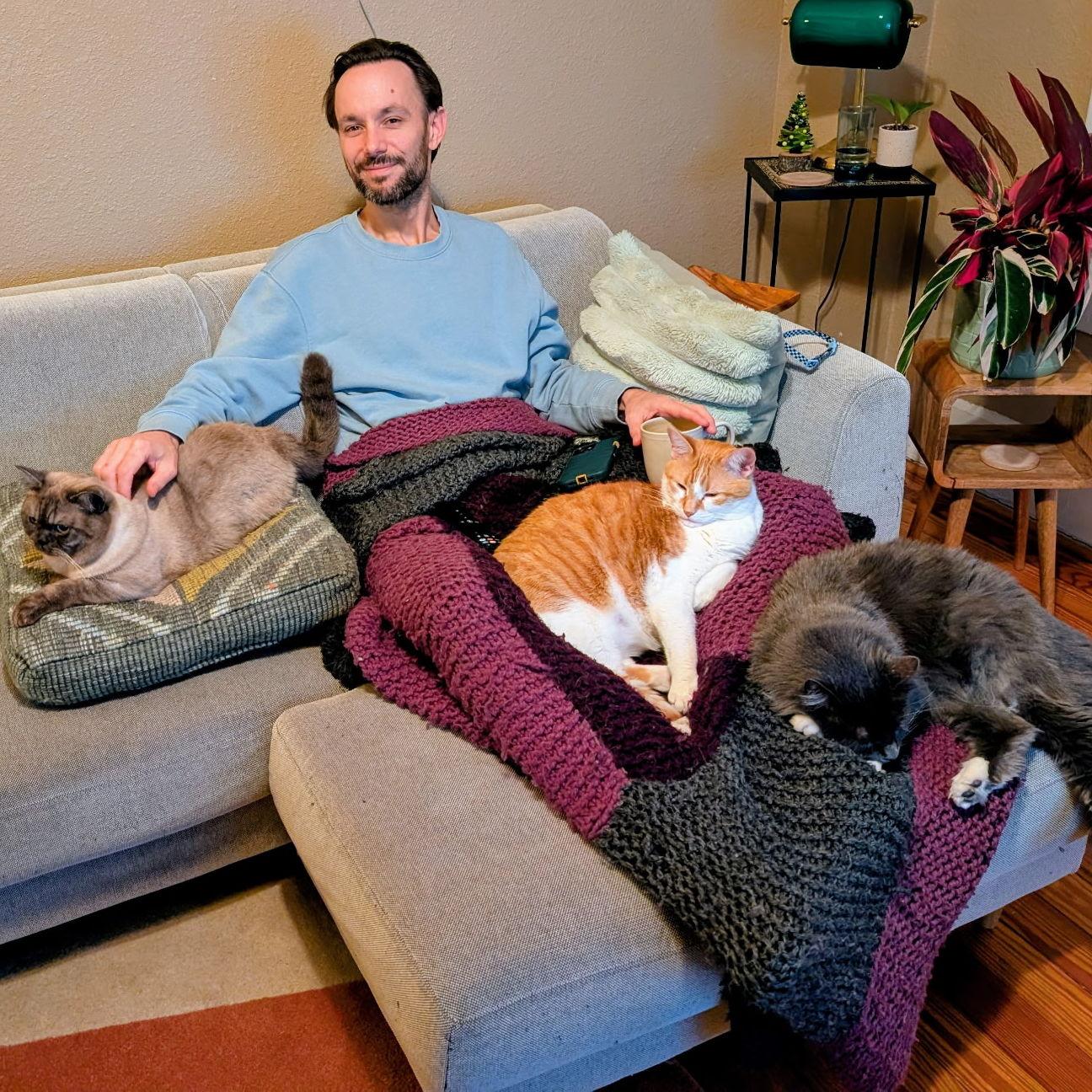 Cat king