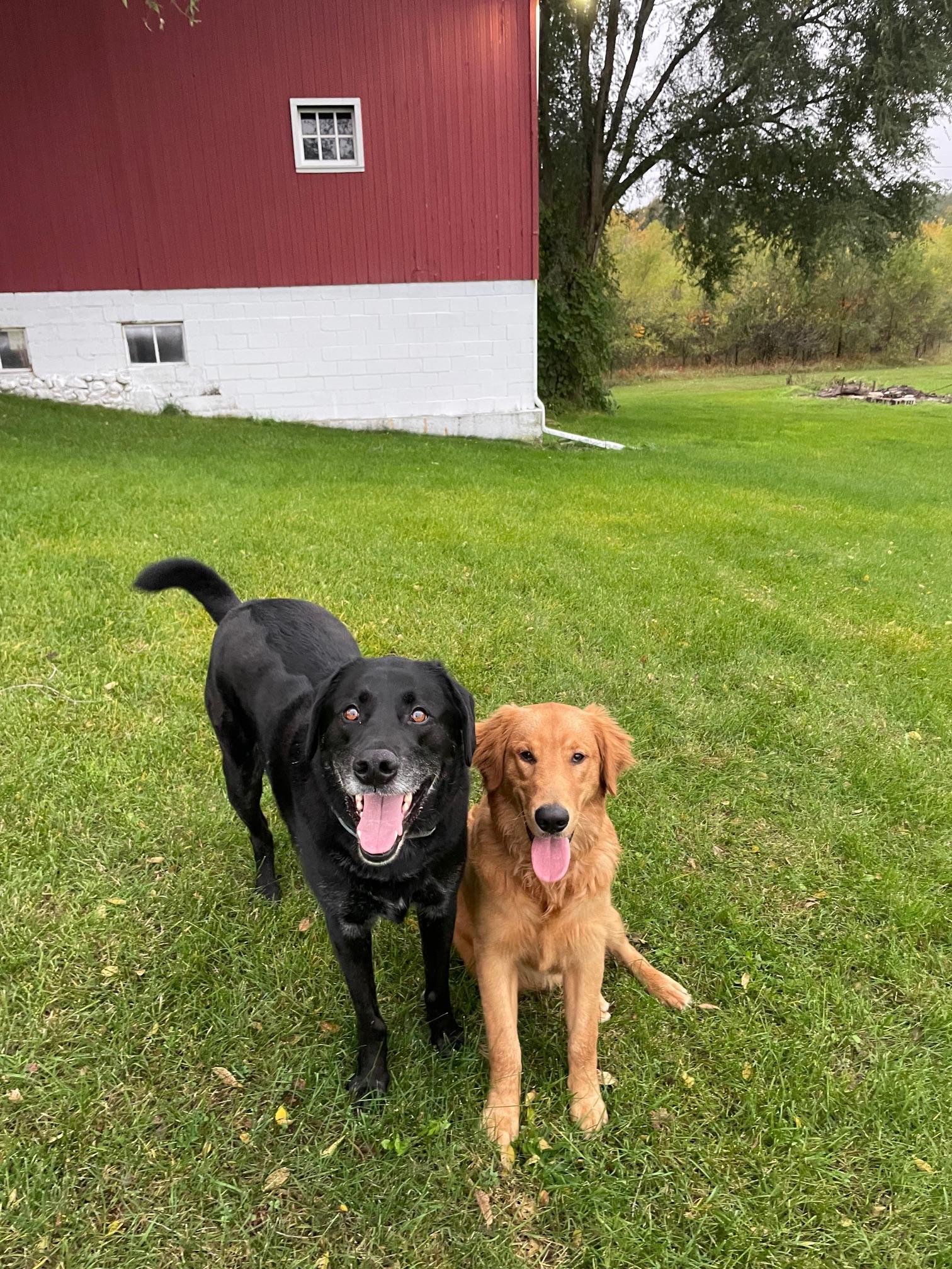 The Wedding Website of Lauren Maurer and Nick Adams