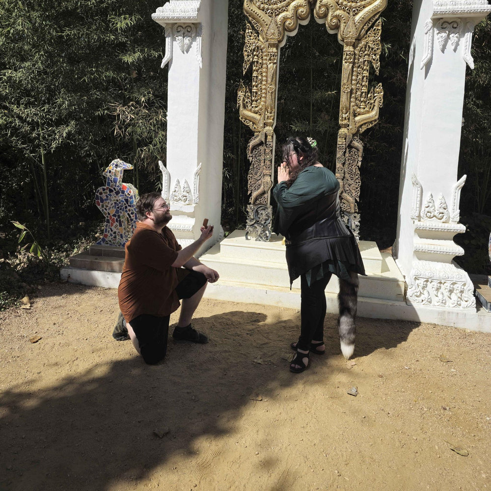Hero Image 1