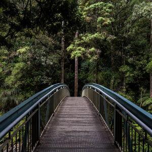 Honeymoon excursions