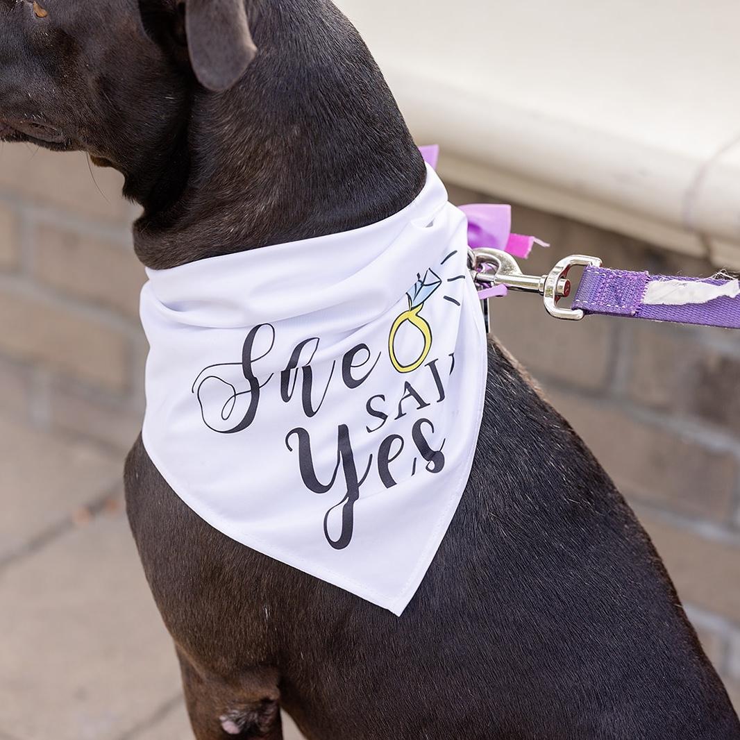 Hazel, she said yes!