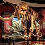 Royal Alberta Museum