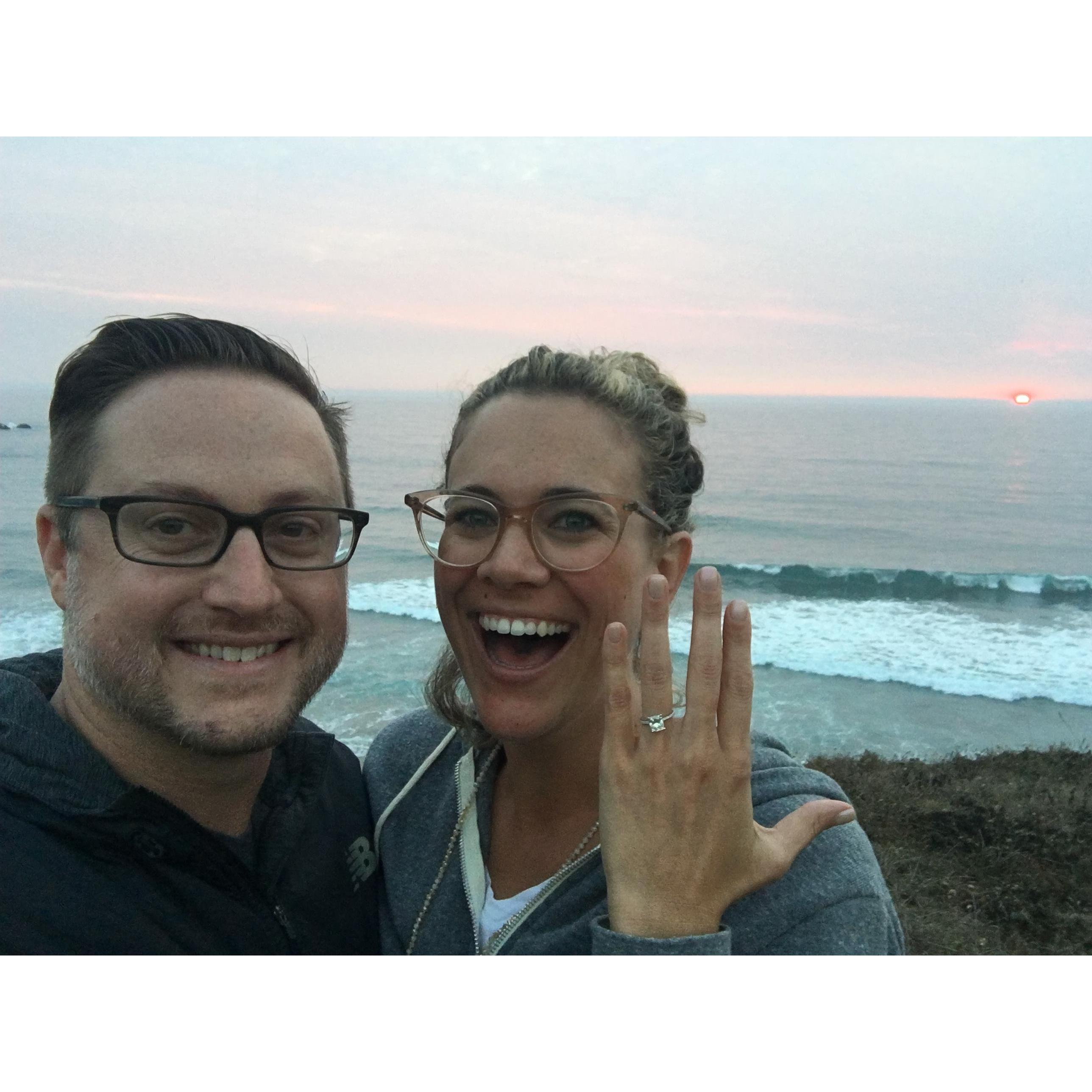 Proposal at Sea Ranch