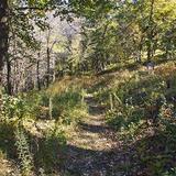 Ottawa Bluffs Nature Preserve