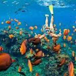 Snorkel, snorkel, snorkel