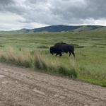 Bison Range