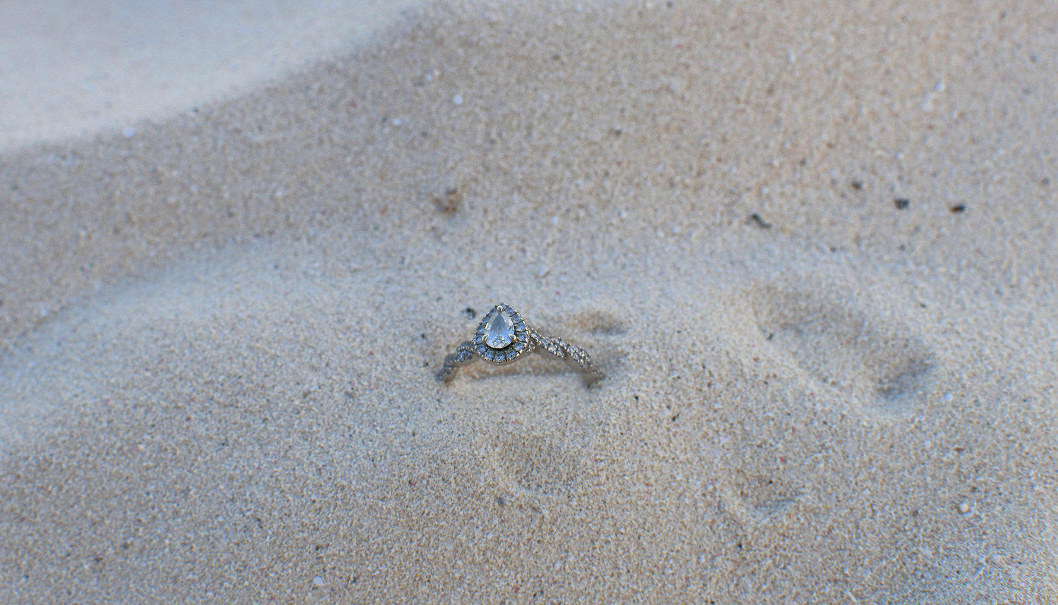 The Wedding Website of Amanda Williams and Irving Lara