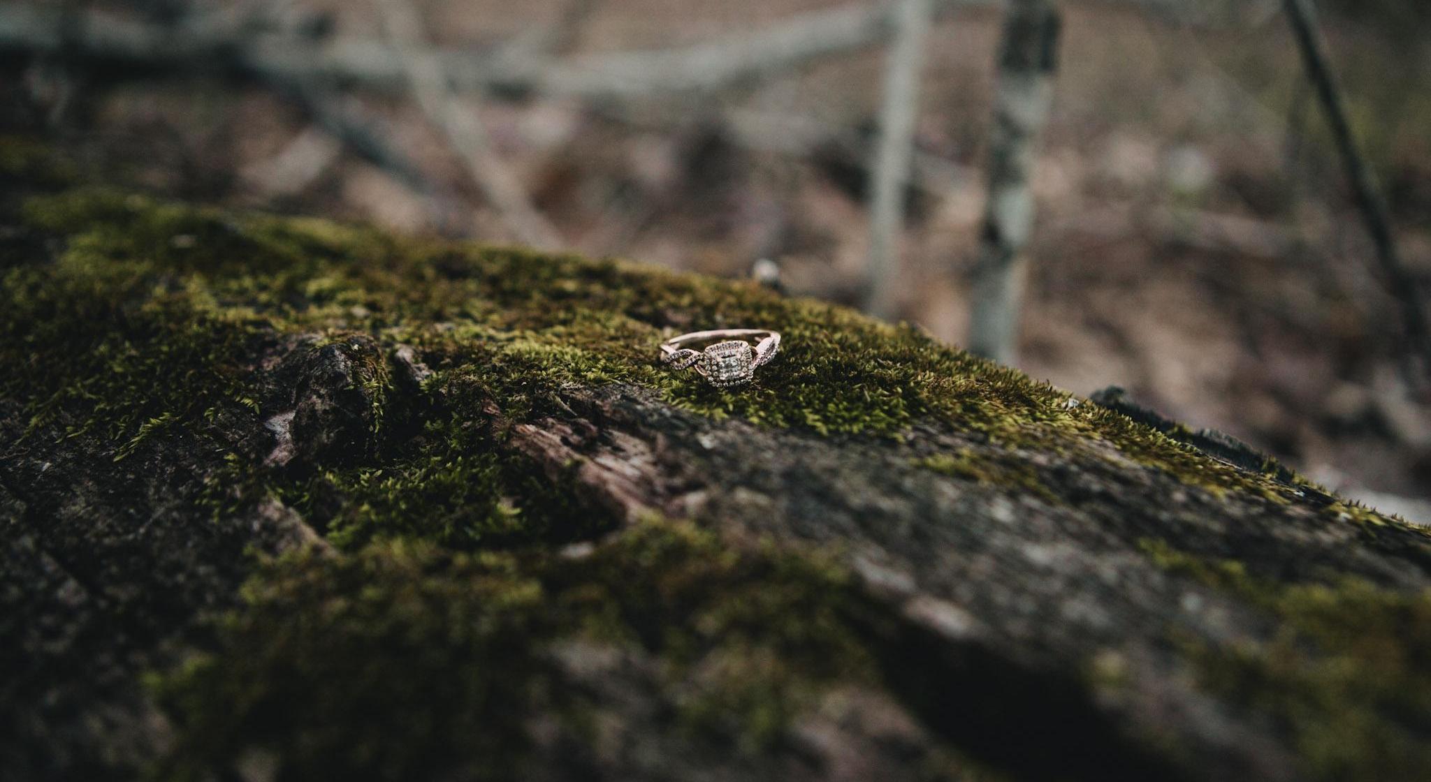 Footer image